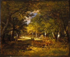 Scena forestale, c.1844-60